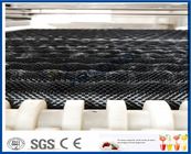 SUS304 Stainless Steel Fruit Processing Equipment For Cleaning Fruits And Vegetables