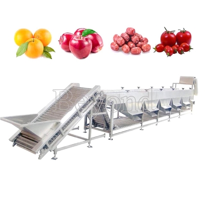 Automatic Mango Washing Waxing Grading Machine For Fruit Processing