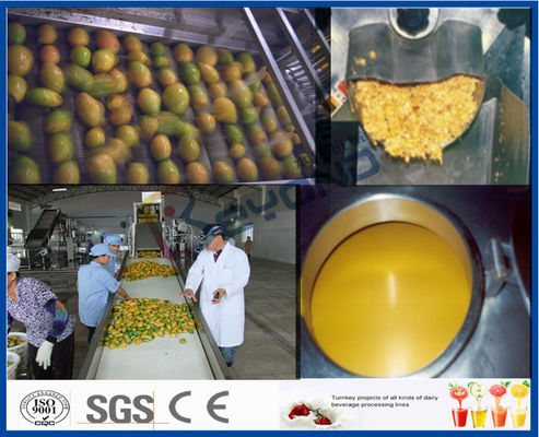 Mango Pulp Processing Machinery Mango Processing Line Aseptic Package Machine