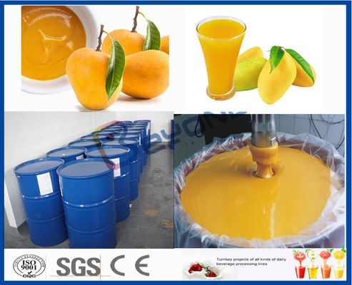 Maszyna do przetwórstwa owoców Maszyna do przetwórstwa owoców mango do produkcji soków