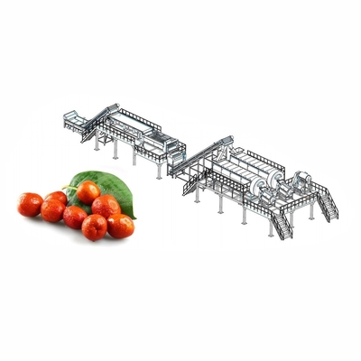 Przemysłowa linia do produkcji soku z granatów 2 - 50T / H Sprzęt do produkcji soku z granatów