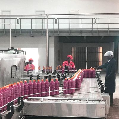 SUS304 Automatyczna linia do przetwarzania pomidorów do produkcji pasty pomidorowej
